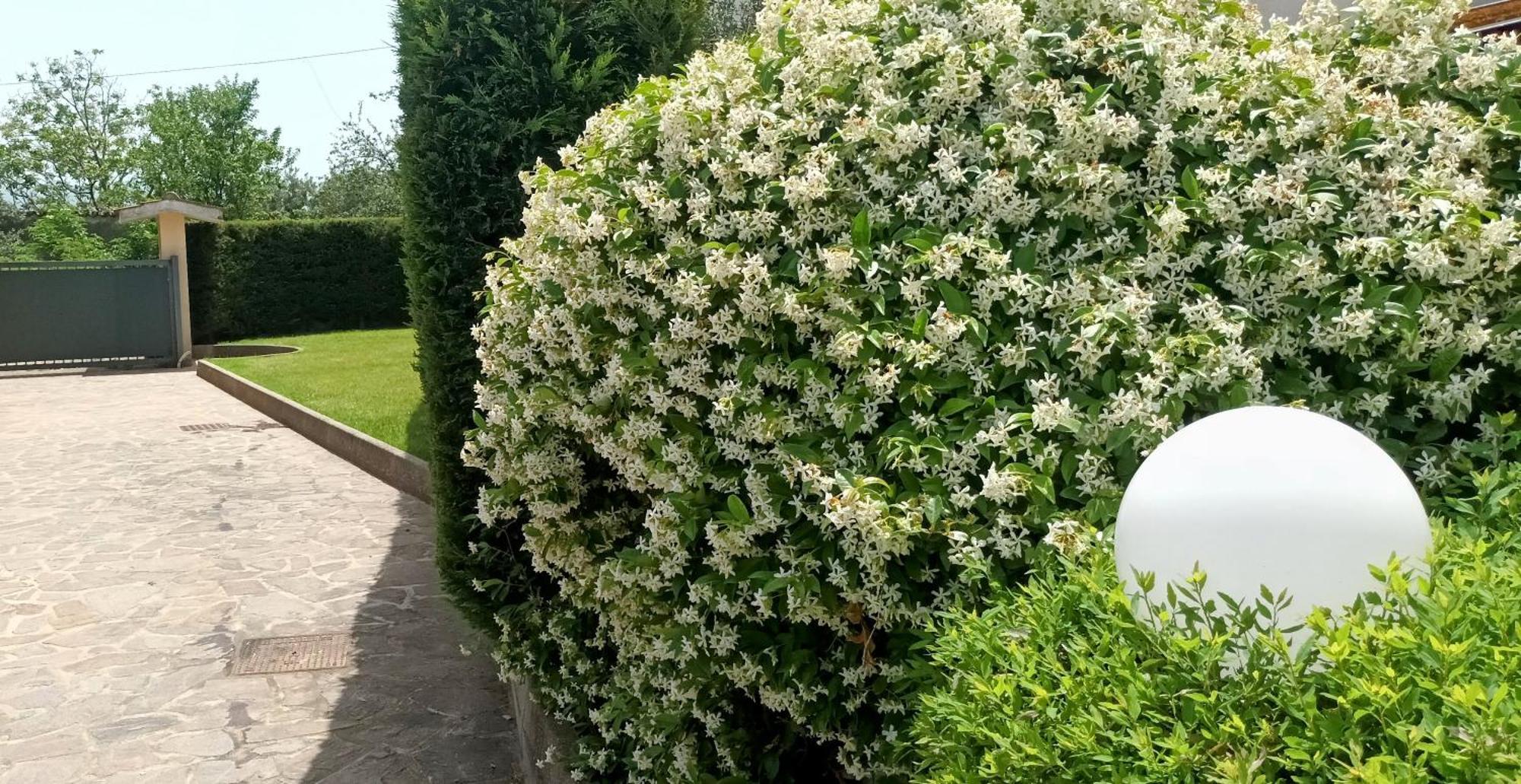 La Residenza Del Marchesato Acomodação com café da manhã Marano Marchesato Exterior foto